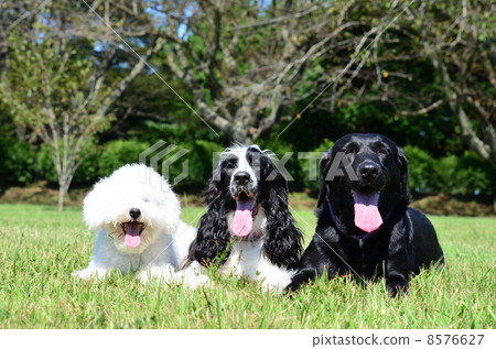 誠摯合影♪ 誠摯合影♪ 8576627