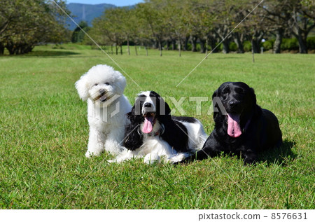 誠摯合影♪ 誠摯合影♪ 8576631