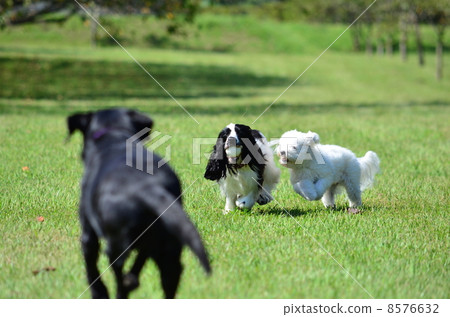 在檢索中♪ 在檢索中♪ 8576632