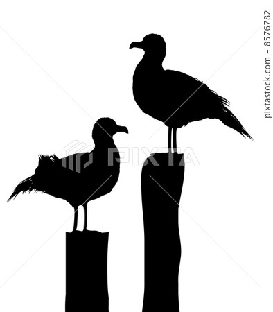 Sea gull silhouettes Sea gull silhouettes 8576782
