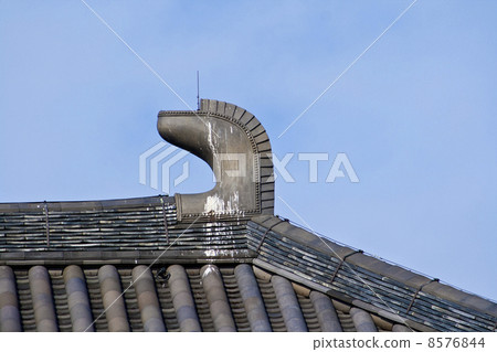 Toshodaiji寺的尾巴 8576844