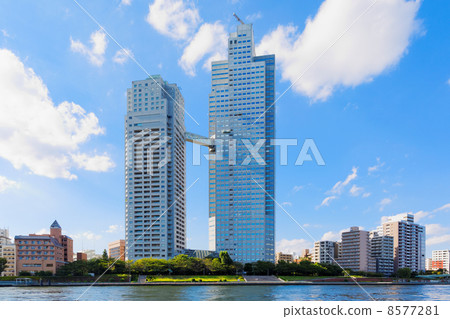 The Sumida River expanding blue sky and St. Road garden 8577281