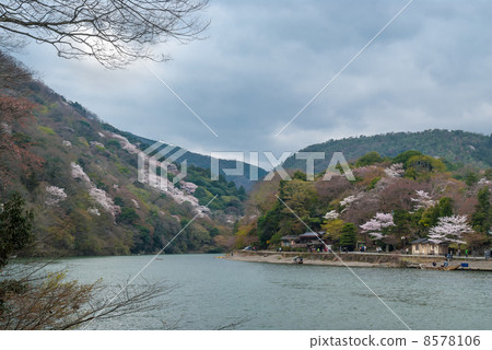 Sagano Arashiyama Sagano Arashiyama 8578106