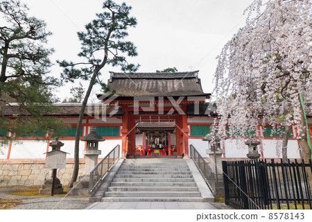 Saikai Oimoto 8578143