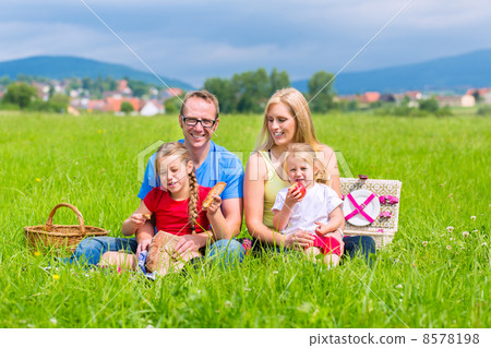 Happy family having picnic in meadow 8578198