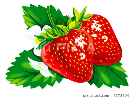 Strawberry 8578204