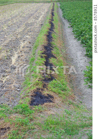 Burned Azaya Road Burned Azaya Road 8578911