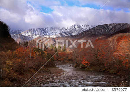 First crown snow of Echigo Komagatake and autumn leaves of Kitanugami River 8579077