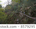 Mountain path to Mt. Ishizuru 8579295