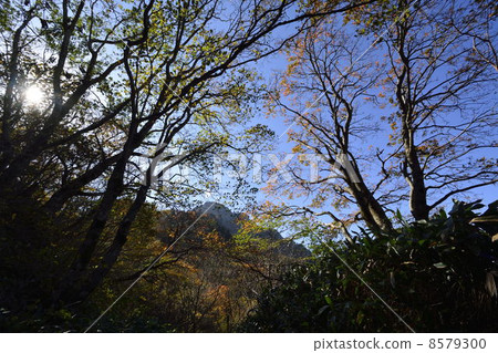 Ishizuruyama秋天山路 8579300