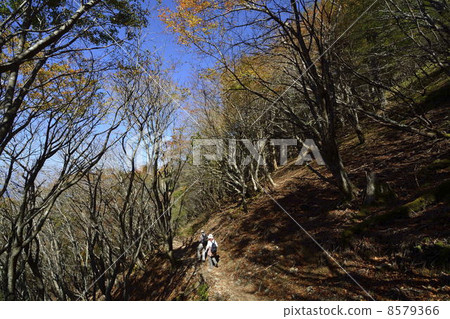 Shikoku, the autumn mountain road of Kenzan 8579366