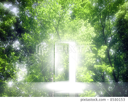 Window through which light strikes Window through which light strikes 8580153