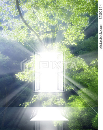 Window through which light strikes Window through which light strikes 8580154