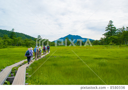 尾瀨 尾瀨 8580336