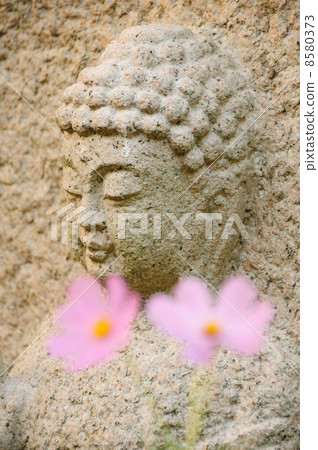 Stone Buddha and Cosmos Stone Buddha and Cosmos 8580373