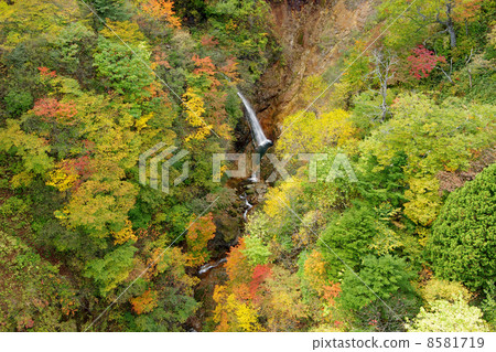 Fall of the Tsubakuro Valley 8581719