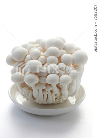 White shimeji 8582207