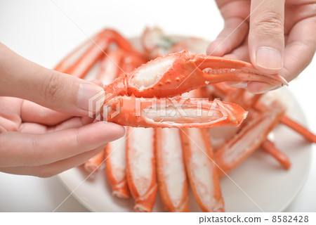 蟹腿 8582428