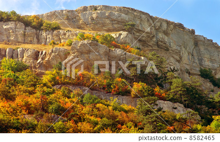Autumn Forest on rocky Mountain hill colorful seasonal Landscape Saving Nature ecology concept Autumn Forest on rocky Mountain hill colorful seasonal Landscape Saving Nature ecology concept 8582465