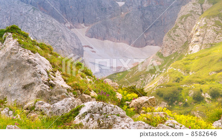 Rocky Mountains in Caucasus with Glacier snow and green valley Landscape Summer day 8582646