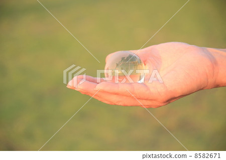 生態形象 8582671