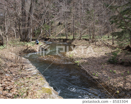 Spring's Timikepp River 8583304