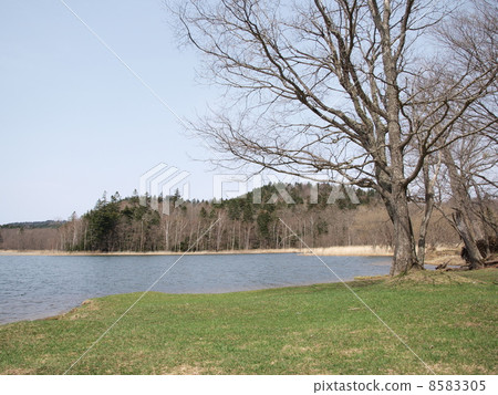 Spring's Chimiquu Lake 8583305