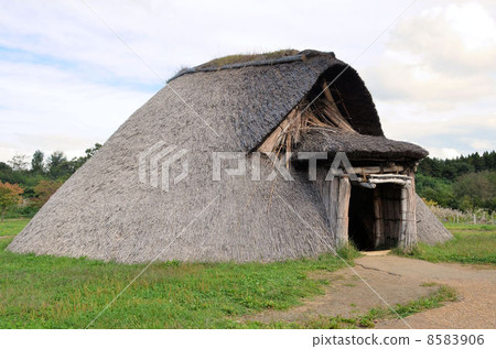 Sannai Maruyama遺址 8583906