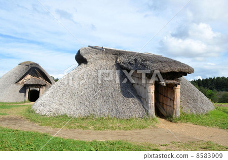 Sannai Maruyama ruins 8583909