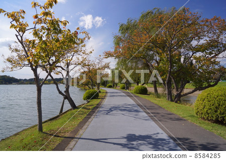 Senba Lake 8584285