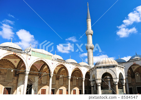 Blue Mosque in Istanbul 8584547