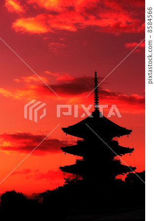 Kyoto Toji 5-storied tower and morning glow Kyoto Toji 5-storied tower and morning glow 8584566