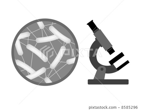 Microscopic bacteria 8585296