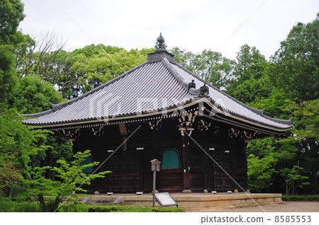 Ninna-ji treasure 8585553