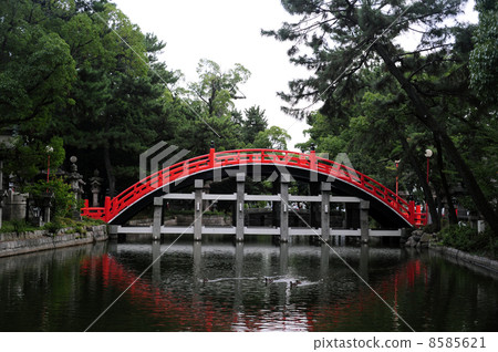 Sumiyoshi Taisha的Taikyo Bridge  -  3 8585621