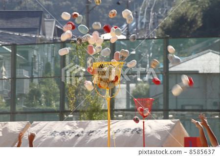 Ayame麵條 Ayame麵條 8585637