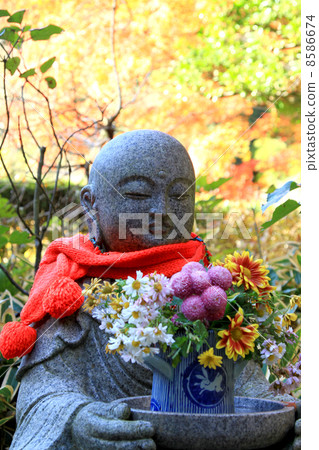 Meitetsuin的花情Jizo 8586674