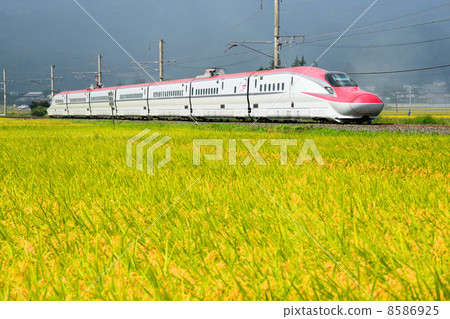 Akita Shinkansen Komachi 8586925