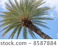 Island of Tropical Island Hawaii 8587884