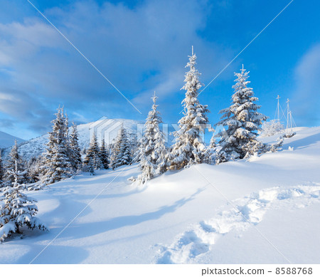 Morning winter mountain landscape Morning winter mountain landscape 8588768