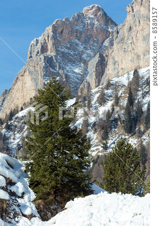 Beautiful winter rocky mountain landscape. 8589157