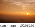 朝陽 8589389