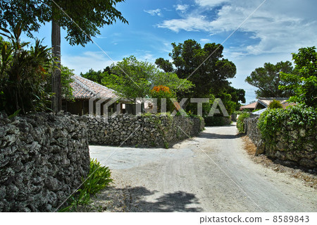Taketomijima village stone wall 8589843