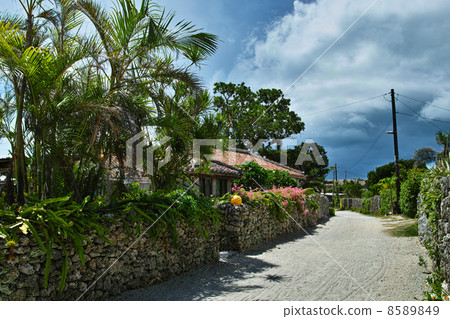 竹富島村石牆 竹富島村石牆 8589849