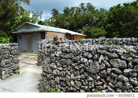 竹富島村石牆 8589851