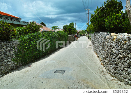 竹富島村石牆 8589852