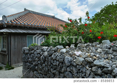 Taketomijima village stone wall 8589853