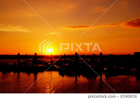 Sunset at the fishing port 8590658