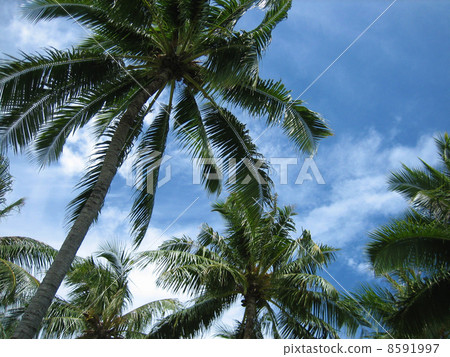 Tahiti Blue was also in the sky 8591997