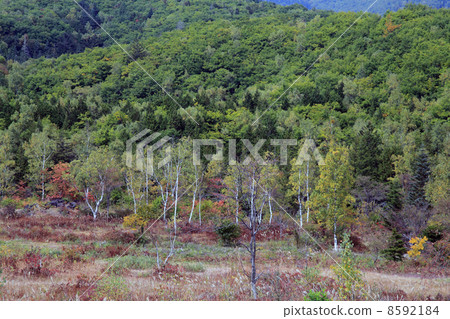 Ichinose花園 8592184